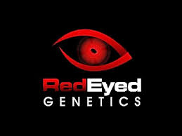 Red-Eye Genetics